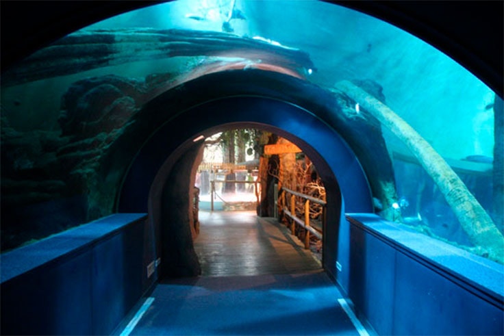 Acuario de Zaragoza