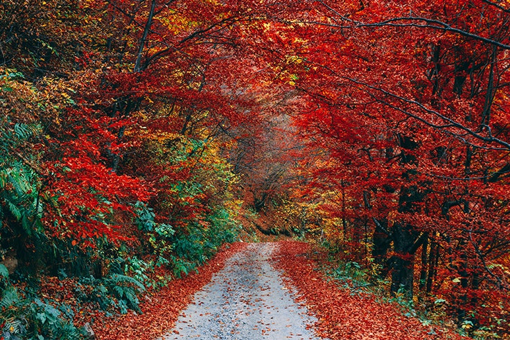cuando-empieza-el-otoño