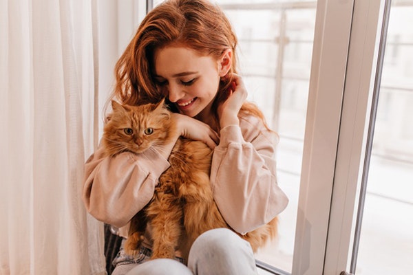 Feliz Día Internacional del gato