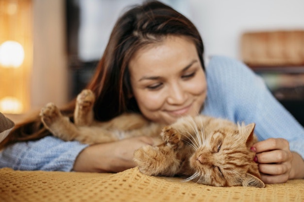 Consejos para cuidar de tu gato