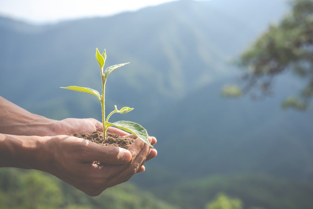 Día Mundial del Medioambiente. Fuente: Freepik 