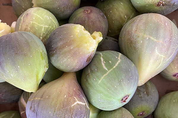 Qué frutas y verduras se comen en agosto