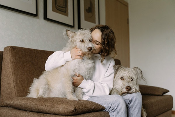 5 razones por las que adoptar a un perrito