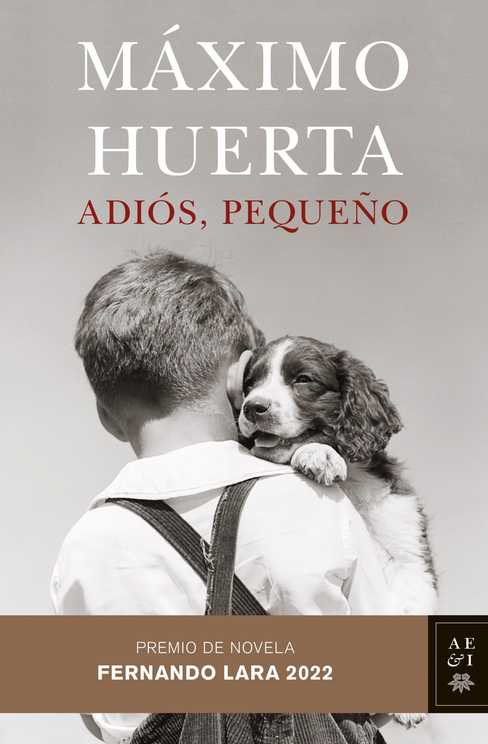 Lecturas recomendadas para este verano