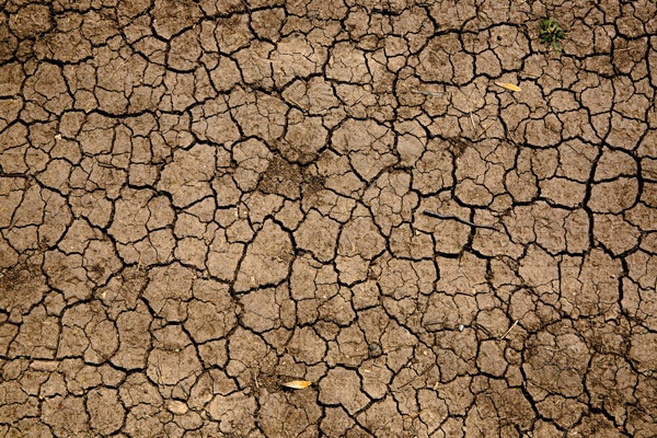 Día Internacional contra el Cambio Climático