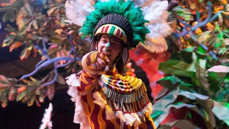 Bienvenido Carnaval