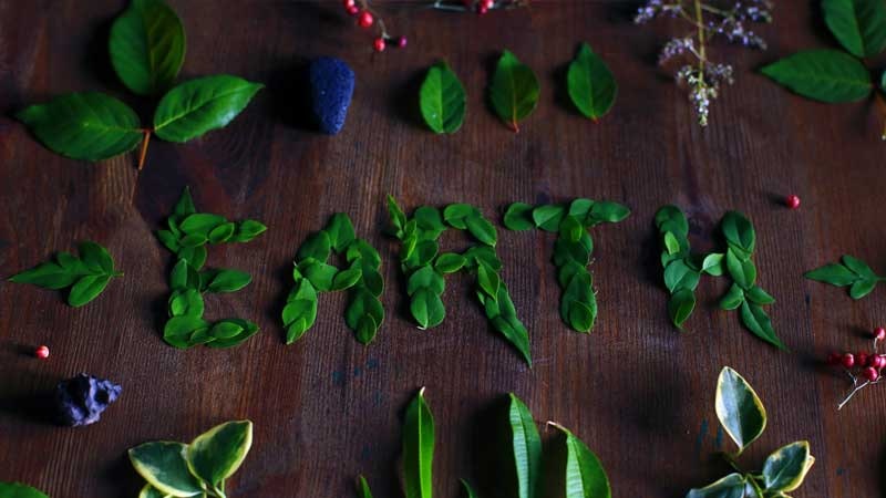 Día Mundial del Medio Ambiente