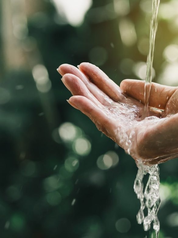 Reducción Consumo de Agua