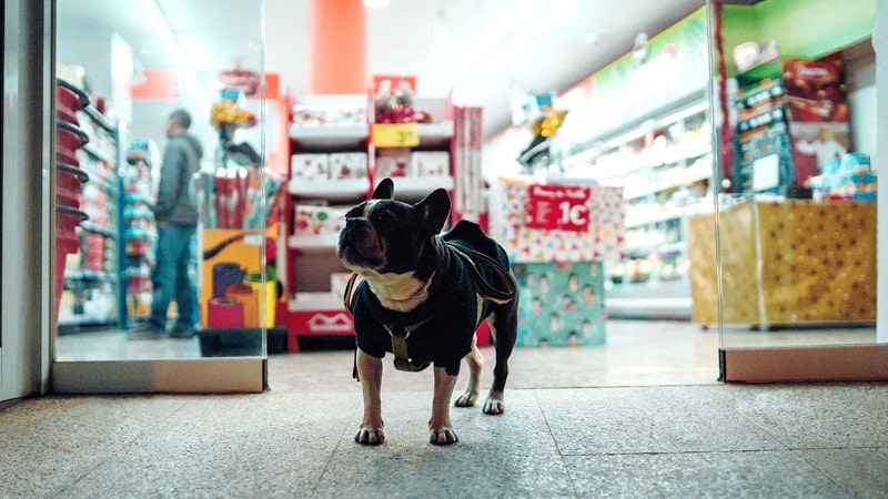 Recuerda que… ¡somos dog friendly!