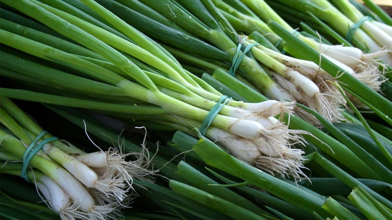 Frutas y verduras del mes de febrero
