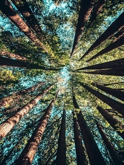 Planeta